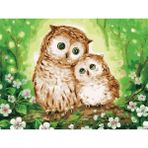 Womb Hobby Şirin Baykuşlar Sayılarla Boyama Seti 40 x 50 cm (Tuvale Gerili)