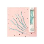 WOMEN 'S HEART KIVRIMLI PASTA MUMU MAVİ 6'LI