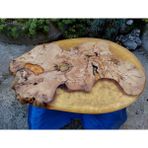 Wood Askania Zeytin Ahşap Epoksi Sehpa / Sunum Tahtası