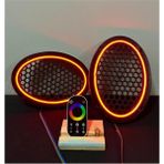Woodhub Dokunmatik Kumandalı Neon Işıklı Oval Hoparlör Kapağı 1 Takım (2 Adet) 6x9