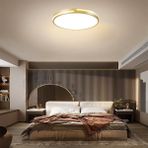 Woodhub Gold Şerit Akrilikli Kumandalı Dimli 3 Işık Renkli 50 cm LED Tavan Lambası, Modern Aydınlatma - 1 - Ahşap