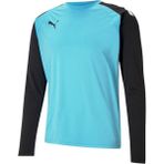 Woodhub Teampacer Gk Ls Jersey Erkek Kaleci Forması 70493340 Mavi - -- - Altın