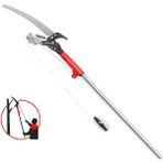 Workpro WP333006 270CM 2 In 1 Teleskobik Saplı Profesyonel Ağaç Budama Testeresi ve 25MM Dal Budama Makası - Gri