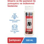 Worldchem 500 ml Panthenol Glycerin İçerikli Şampuan