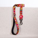 Wow Leash Kedi Köpek Sevk & Gezdirme Kayışı Köpek Uzatma Tasması