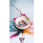 WPAWZ Seramik Mama ve Su Kabı 300 ml. Laila