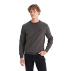 WRANGLER Bisiklet Yaka Regular Fit Sweatshirt, L, 25KWRA000005, Antrasit, erkek