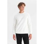 Wrangler W2520534100 Beyaz Erkek Baskılı Regular Fit Bisiklet Yaka Sweatshirt - 2XL