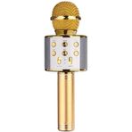 Wster WS-858 Gold Karaoke Bluetoothlu Mikrofon
