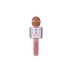 Wster WS-858 Karaoke Mikrofon Rose Gold Renk Bluetooth USB Aux Sd Kart Giriş Özellikli