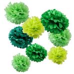 Wyzworks Single (farklı renk Pack) 20,3 cm 25,4 cm 30,5 cm Ponpon çiçekler için parti dekorasyon düğün, doğum günü, düğün, bebek duş çocuk odası dekor, 10", 12", 16", Yeşil, 8, 8.00