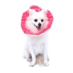 WZ PET Ayarlanabilir Köpek Kedi Konisi, Yumuşak İyileşme Kedi Koni Yaka, Kediler, Yavru ve Küçük Köpekler için Köpek Koruyucu Tasma, Pembe