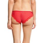 X LADY DANTELLİ TRANSPARAN KADIN KÜLOT 500