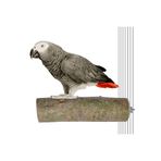 X-Perk Ağaç Kütük Papağan Büyük Boy Tünek Boy 17 cm Çap 5 cm Kuş Tüneği