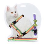 X-Perk Kedi Göğüs bel Gezdirme Takımı Boyun Tasma Hediyeli