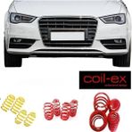 X Power Tuning Audi A3 8V 2012.2019 Dizel Coil-Ex 4.cm Spor Helezon Yay