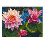 XIANGPEIFBH El Boyalı Tuval Yağlı Boya Tablolar Sayıya Göre Çiçeklenme Lotus Boyama Boyama Sayıları -40 x 50 cm (16X20 inç) Çerçevesiz