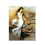 XIANGPEIFBH Güzellik ve Turna Sayılarla Kendin Yap boyama duvar sanatı resim kanvas tablolar sayılara göre çizim-40x50 cm (16X20 inç) Çerçevesiz