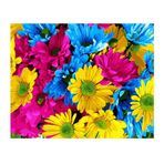 XIANGPEIFBH Kendin Yap Sayılarla Boyama Resimler Çiçek Kanvas Yağlıboya Tablo ve Oturma Odası için Ev Dekoru Duvar Sanatı -40x50 cm (16X20 inç) Çerçevesiz
