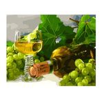 XIANGPEIFBH Kendin Yap Sayılarla Boyama Resimler şarap Kanvas Yağlıboya Tablo ve Oturma Odası için Ev Dekoru Duvar Sanatı -40x50 cm (16X20 inç) Çerçevesiz