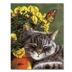 XIANGPEIFBH Öğle yemeği molasında kedi kendin yap sayılarla boyama duvar sanatı resim kanvas tablolar sayılara göre çizim - 40x50 cm (16X20 inç) Çerçevesiz