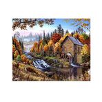 XIANGPEIFBH Ormanda Şale Manzara Resmi Kendin Yap Sayılarla Yağlı Boya Tablo Ev Dekoru İçin Duvar Sanatı -40x50 cm (16X20 inç) Çerçevesiz