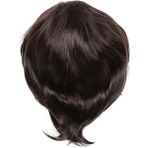 Xiaxiaoer Moda Erkek Peruk Kısa Düz Yüksek Sıcaklık Ipek Sentetik Peruk Tam Peruk/sanatsal Erkekler Erkekler Için Kahverengi Siyah Peruk (Yurt Dışından)
