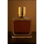 Xlante Long Time Afrodizyak Özel Seri Erkek Parfüm 50ML Edp - Odunsu & Vanilya Orman Meyveli - Yüksek Kalıcı Etkileyici Erkek Kokusu