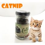 Xnews Catnip Doğal Kedi Otu - Kedi Nanesi-