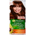 Xnews Color Naturals Saç Boyası 6.34 Altın Çikolata