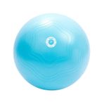 XQ Max 128710390 Siyah 25 cm Pilates Topu