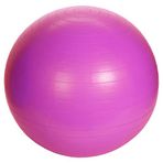 XQ Max 128710420 Fuşya 55 cm Pilates Topu