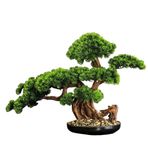 XUJUAN-0227 yapay ağaçlar bonsai ağacı yapay hoş geldiniz, bonsai çam, ev dekorasyonu, giriş sayacı, bitki örtüsü simülasyonu yapay bonsai