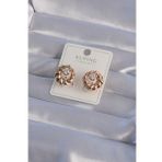 XUPİNG Rose Renk Oval Zirkon Taşlı Burgu Model Küpe - TJ-BKP9361