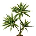 XZJMY Yapay Dracaena Bitkisi, Sahte Bitkiler, 60 cm Boyunda Tropikal Dracaena Ağacı, Ev, Ofis, Oturma, Oda Dekoru için Yapay Bitkiler (Beyaz ve Yeşil)