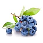 Yaban Mersini Tohumu Blueberry Tohumu 25 Adet Tohum