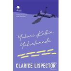 Yabani Kalbin Yakınlarında - Clarice Lispector