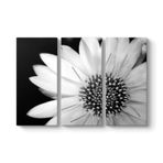 Yakından Gerbera Çiçeği Tablosu 111 x 75-3 Parçalı