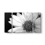 Yakından Gerbera Çiçeği Tablosu 126 x 70-3 Parçalı