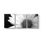 Yakından Gerbera Çiçeği Tablosu 156 x 70-3 Parçalı