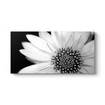 Yakından Gerbera Çiçeği Tablosu 160 x 80