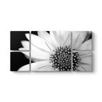Yakından Gerbera Çiçeği Tablosu 166 x 83-5 Parçalı