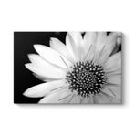 Yakından Gerbera Çiçeği Tablosu 45 x 30
