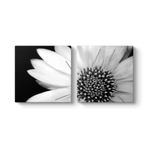 Yakından Gerbera Çiçeği Tablosu 63 x 30-2 Parçalı