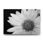 Yakından Gerbera Çiçeği Tablosu - 90x60cm