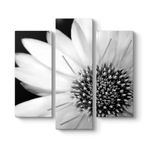 Yakından Gerbera Çiçeği Tablosu 96 x 90-3 Parçalı