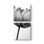 Yalnız Gelincik Tablosu 30 x 63-2 Parçalı