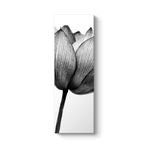 Yalnız Gelincik Tablosu 40 x 120