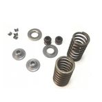 YAMAHA CRYPTON TÜM MODELLERE UYUMLU SİBOP YAY TAKIMI