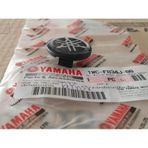 Yamaha Delight 115 Ön Panel Kapaklı Logo 1WC-F834J-00